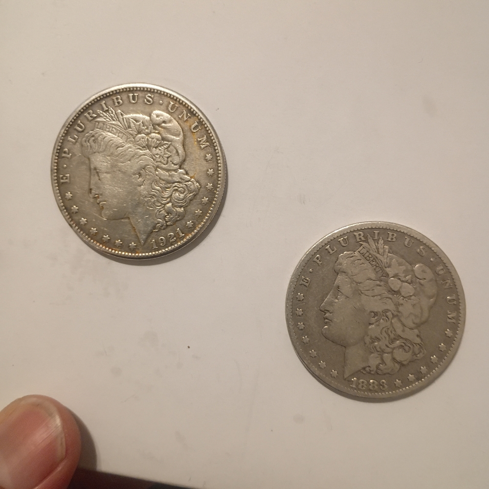 Two silver Morgan Dollars